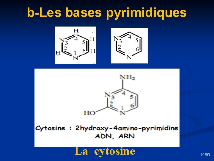 b-Les bases pyrimidiques La cytosine K Sifi 