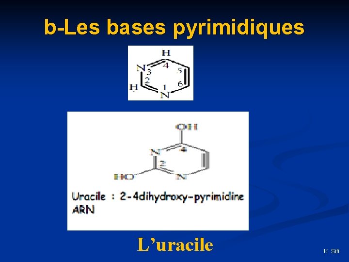 b-Les bases pyrimidiques L’uracile K Sifi 