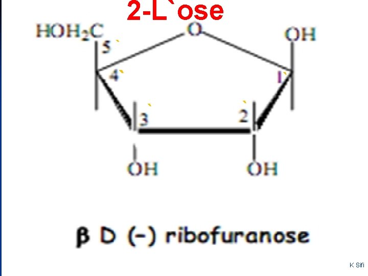 2 -L`ose ` ` ` K Sifi 