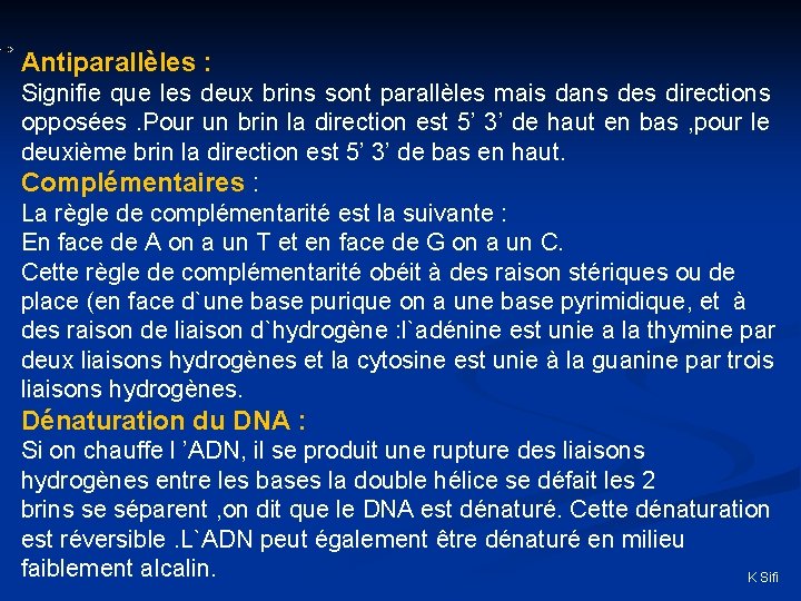 Antiparallèles : Signifie que les deux brins sont parallèles mais dans des directions opposées.