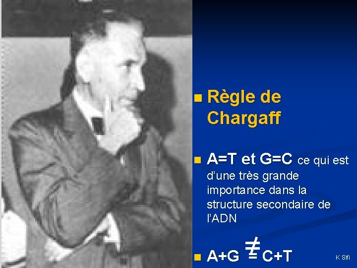 n Règle de Chargaff n A=T et G=C ce qui est d’une très grande