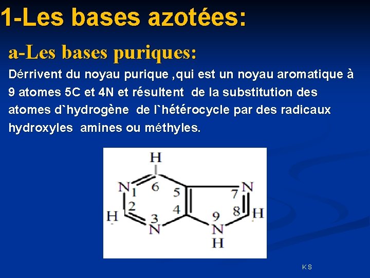 1 -Les bases azotée azot s: a-Les bases puriques: Dérrivent du noyau purique ,