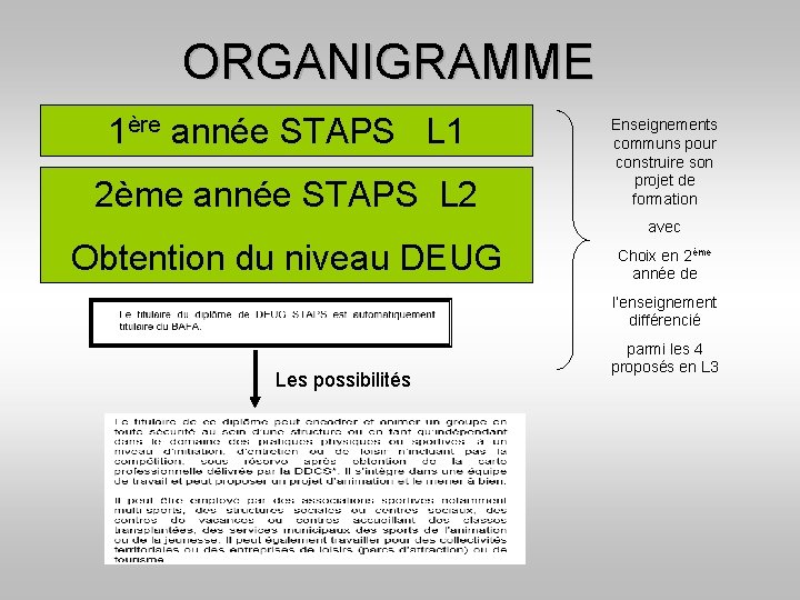 ORGANIGRAMME 1ère année STAPS L 1 2ème année STAPS L 2 Enseignements communs pour