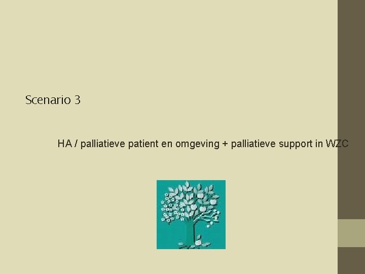 Scenario 3 HA / palliatieve patient en omgeving + palliatieve support in WZC 