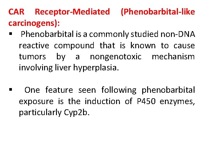 CAR Receptor-Mediated (Phenobarbital-like carcinogens): § Phenobarbital is a commonly studied non-DNA reactive compound that