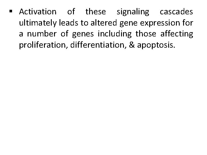 § Activation of these signaling cascades ultimately leads to altered gene expression for a