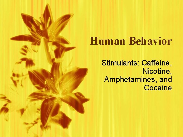 Human Behavior Stimulants: Caffeine, Nicotine, Amphetamines, and Cocaine 