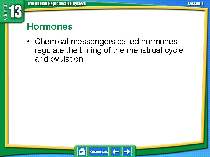 13. 1 Reproductive Systems Hormones • Chemical messengers called hormones regulate the timing of