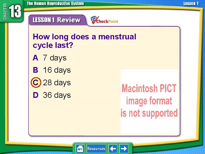 13. 1 Reproductive Systems 1. 2. 3. 4. A B C D How long