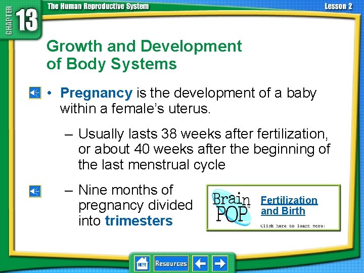 13. 2 Development Before Birth Growth and Development of Body Systems • Pregnancy is