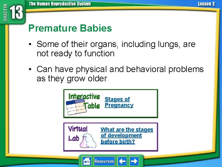 13. 2 Development Before Birth Premature Babies • Some of their organs, including lungs,