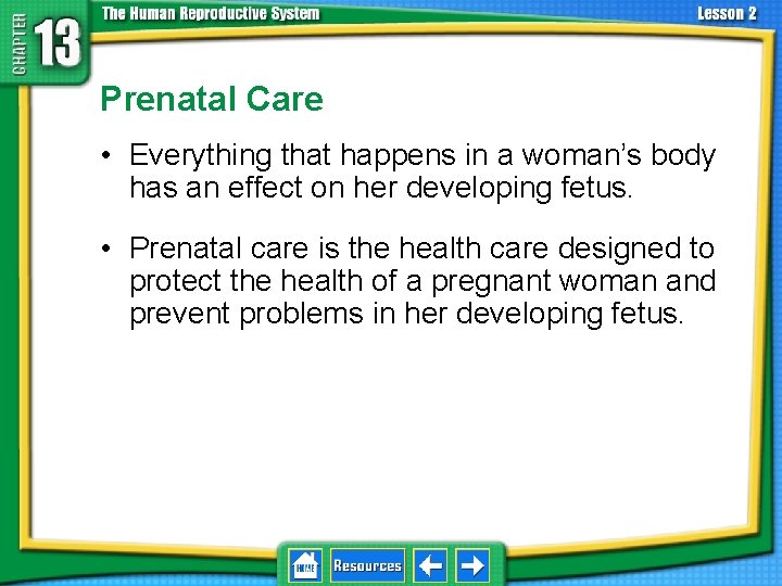 13. 2 Development Before Birth Prenatal Care • Everything that happens in a woman’s
