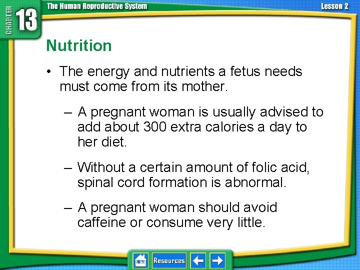 13. 2 Development Before Birth Nutrition • The energy and nutrients a fetus needs
