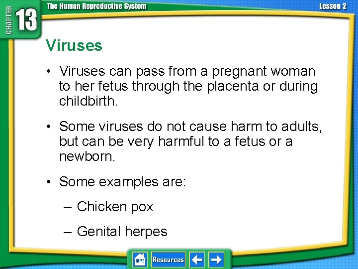 13. 2 Development Before Birth Viruses • Viruses can pass from a pregnant woman