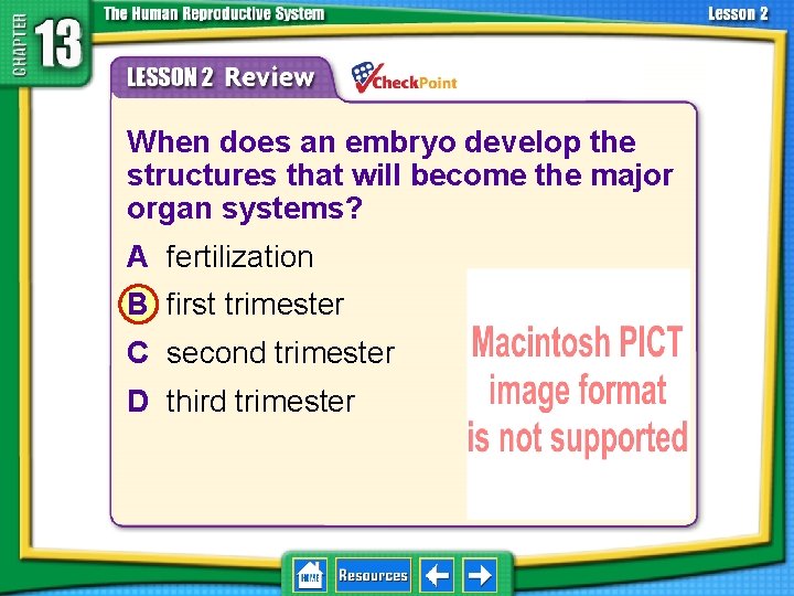 13. 2 Development Before Birth 1. 2. 3. 4. A B C D When