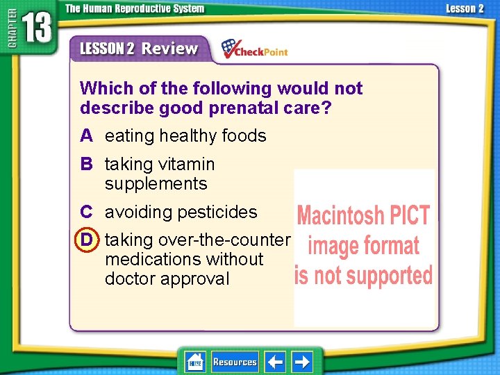 13. 2 Development Before Birth 1. 2. 3. 4. A B C D Which