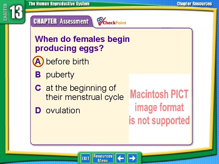 1. 2. 3. 4. A B C D When do females begin producing eggs?
