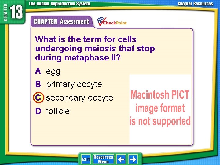 1. 2. 3. 4. A B C D What is the term for cells