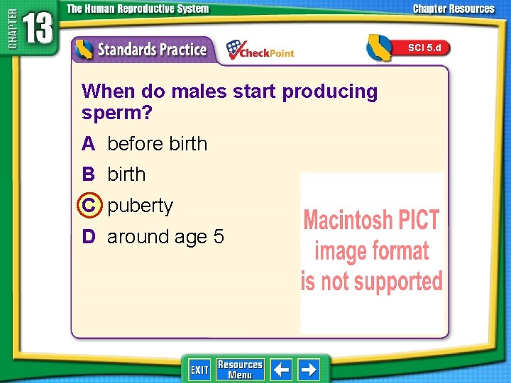 SCI 5. d 1. 2. 3. 4. A B C D When do males