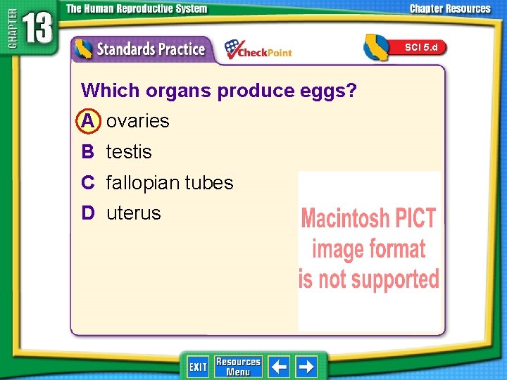 SCI 5. d 1. 2. 3. 4. A B C D Which organs produce