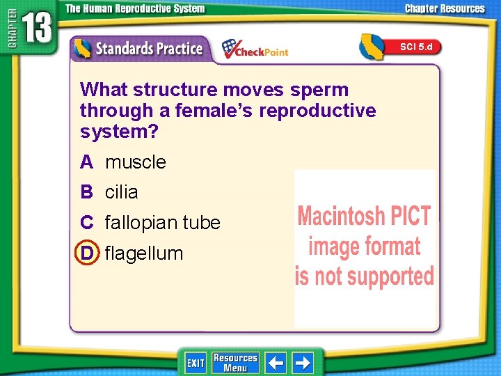 SCI 5. d 1. 2. 3. 4. A B C D What structure moves