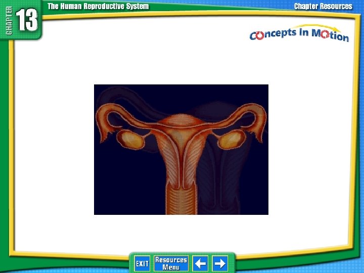 Concepts in Motion 1 