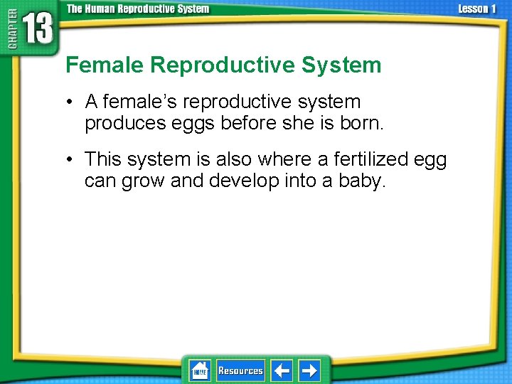 13. 1 Reproductive Systems Female Reproductive System • A female’s reproductive system produces eggs