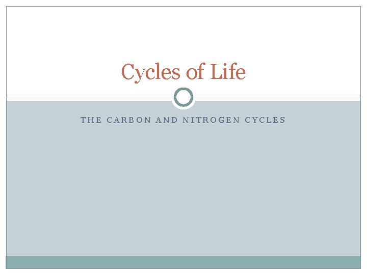 Cycles of Life THE CARBON AND NITROGEN CYCLES 