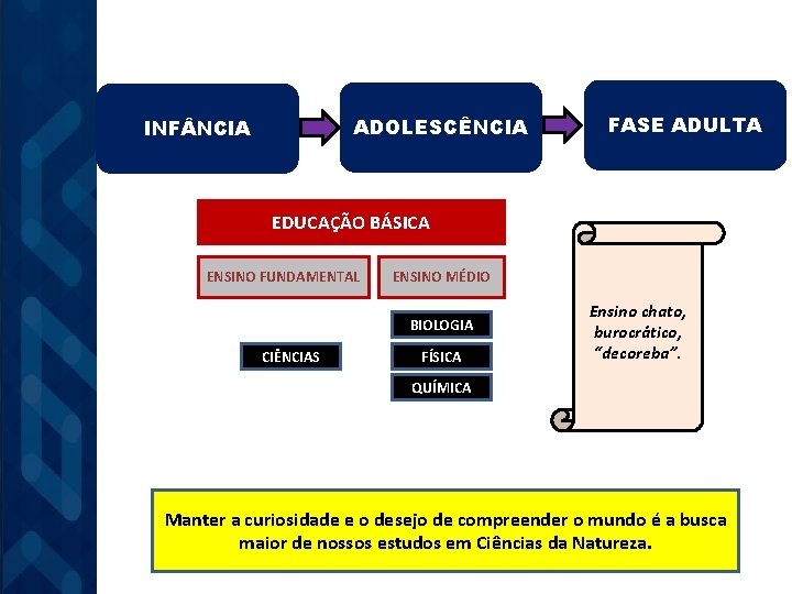ADOLESCÊNCIA INF NCIA FASE ADULTA EDUCAÇÃO BÁSICA ENSINO FUNDAMENTAL ENSINO MÉDIO BIOLOGIA CIÊNCIAS FÍSICA