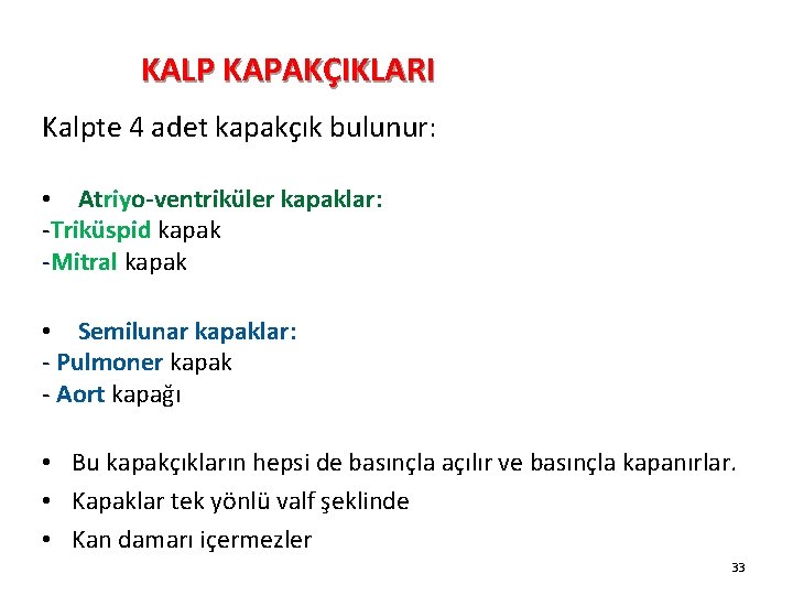 KALP KAPAKÇIKLARI Kalpte 4 adet kapakçık bulunur: • Atriyo-ventriküler kapaklar: -Triküspid kapak -Mitral kapak