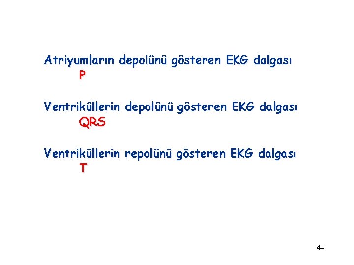 Atriyumların depolünü gösteren EKG dalgası P Ventriküllerin depolünü gösteren EKG dalgası QRS Ventriküllerin repolünü