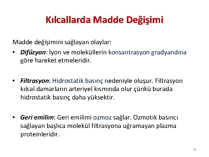 Kılcallarda Madde Değişimi Madde değişimini sağlayan olaylar: • Difüzyon: İyon ve moleküllerin konsantrasyon gradyandına