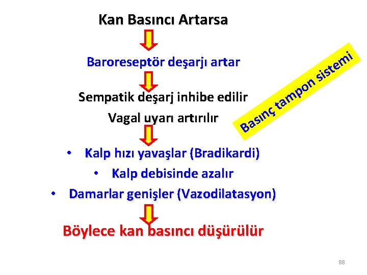 Kan Basıncı Artarsa Baroreseptör deşarjı artar Sempatik deşarj inhibe edilir ç n ı Vagal