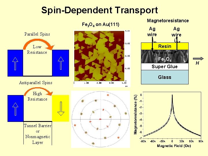 Spin-Dependent Transport Fe 3 O 4 on Au(111) Parallel Spins Low Resistance Magnetoresistance Ag