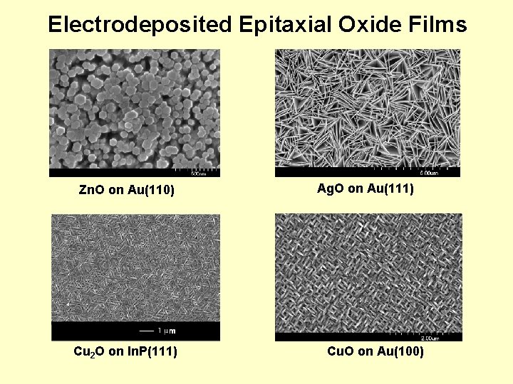 Electrodeposited Epitaxial Oxide Films Zn. O on Au(110) Cu 2 O on In. P(111)