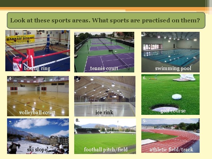Look at these sports areas. What sports are practised on them? 1. 3. 2.