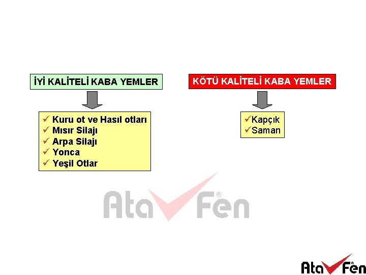 İYİ KALİTELİ KABA YEMLER KÖTÜ KALİTELİ KABA YEMLER ü Kuru ot ve Hasıl otları