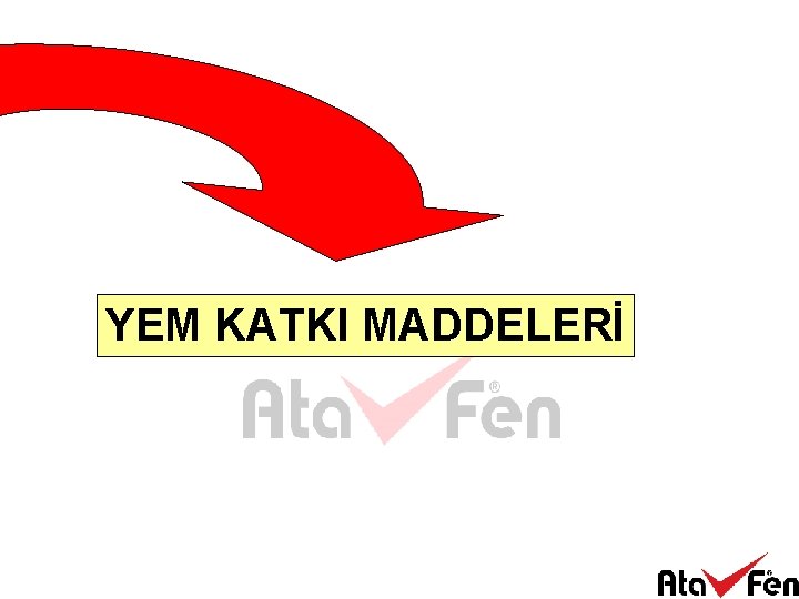 YEM KATKI MADDELERİ 