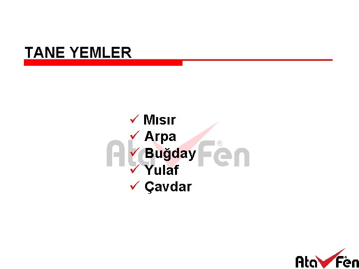 TANE YEMLER ü Mısır ü Arpa ü Buğday ü Yulaf ü Çavdar 