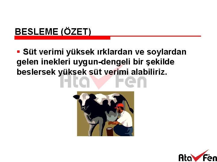 BESLEME (ÖZET) § Süt verimi yüksek ırklardan ve soylardan gelen inekleri uygun-dengeli bir şekilde