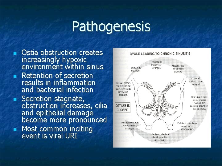 Pathogenesis Ostia obstruction creates increasingly hypoxic environment within sinus Retention of secretion results in