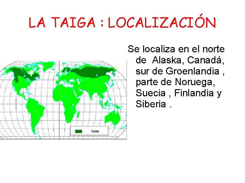 LA TAIGA : LOCALIZACIÓN Se localiza en el norte de Alaska, Canadá, sur de