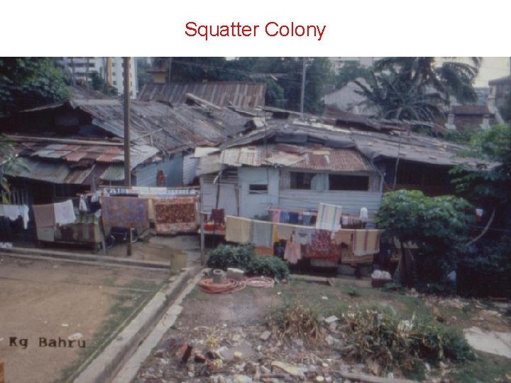 Squatter Colony 