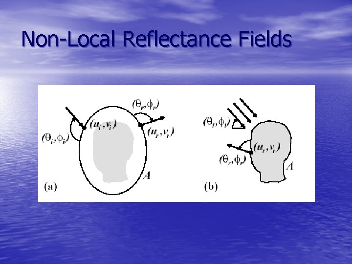 Non-Local Reflectance Fields 