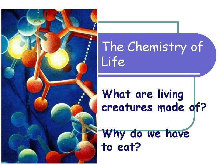 The Chemistry of Life What are living creatures made of? Why do we have