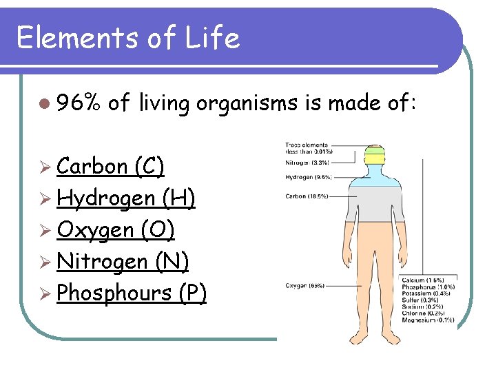 Elements of Life l 96% of living organisms is made of: Ø Carbon (C)