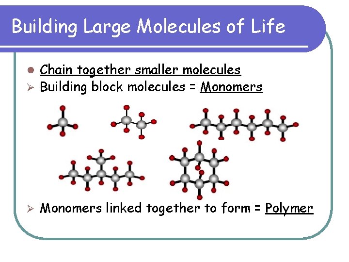 Building Large Molecules of Life Chain together smaller molecules Ø Building block molecules =