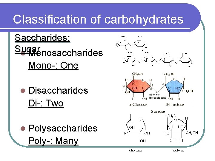 Classification of carbohydrates Saccharides: Sugar l Monosaccharides Mono-: One l Disaccharides Di-: Two l