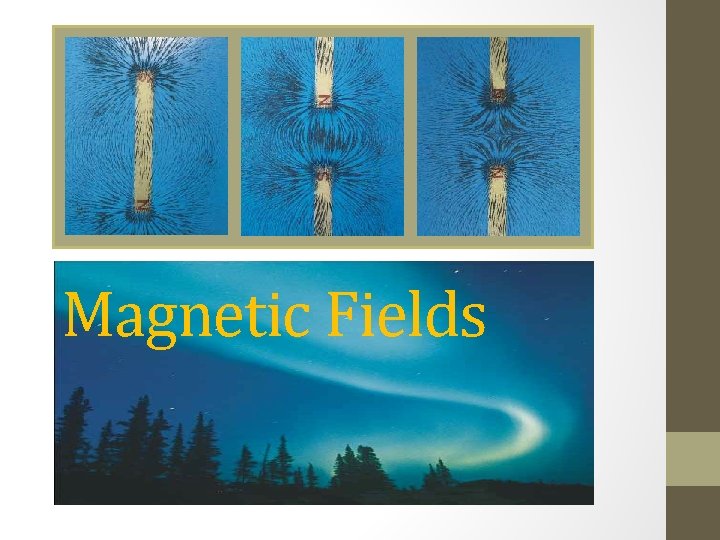 Magnetic Fields 
