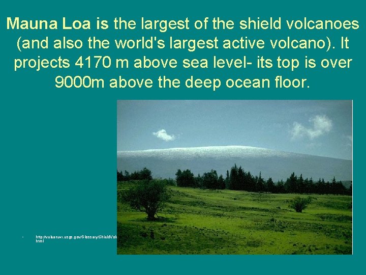 Mauna Loa is the largest of the shield volcanoes (and also the world's largest